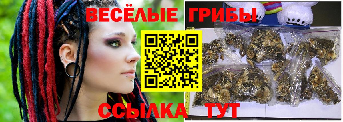 Псилоцибиновые грибы Psilocybine cubensis  Вход с VPN  Тулун  Псилоцибиновые грибы мухоморы 
