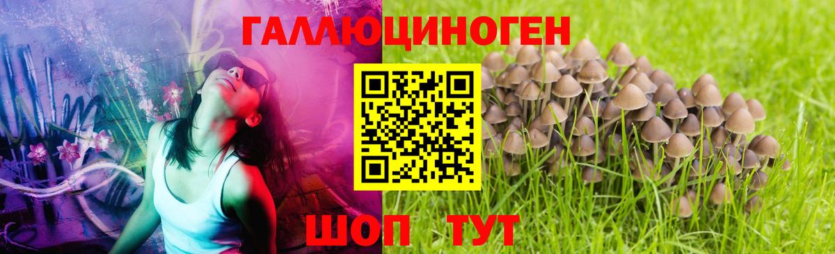 Псилоцибиновые грибы Magic Shrooms Тулун