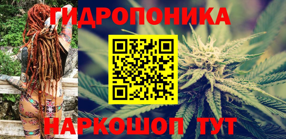 Бошки марихуана VHQ  Марихуана индика  Канабис Bruce Banner  Тулун  Вход с VPN  Марихуана сатива 